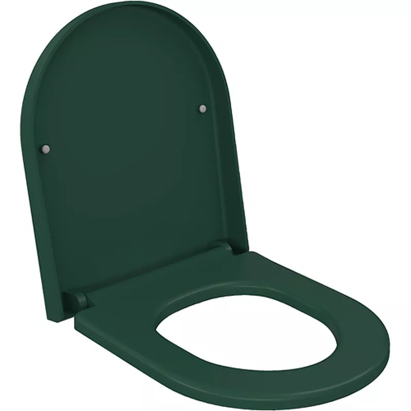 Крышка-сиденье Ambassador Abner с микролифтом зеленый матовый 102T20701 - фото 1