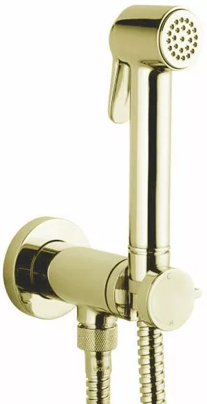 Гигиенический душ Bossini Paloma Brass Mixer Set со смесителем золото E37005B.021