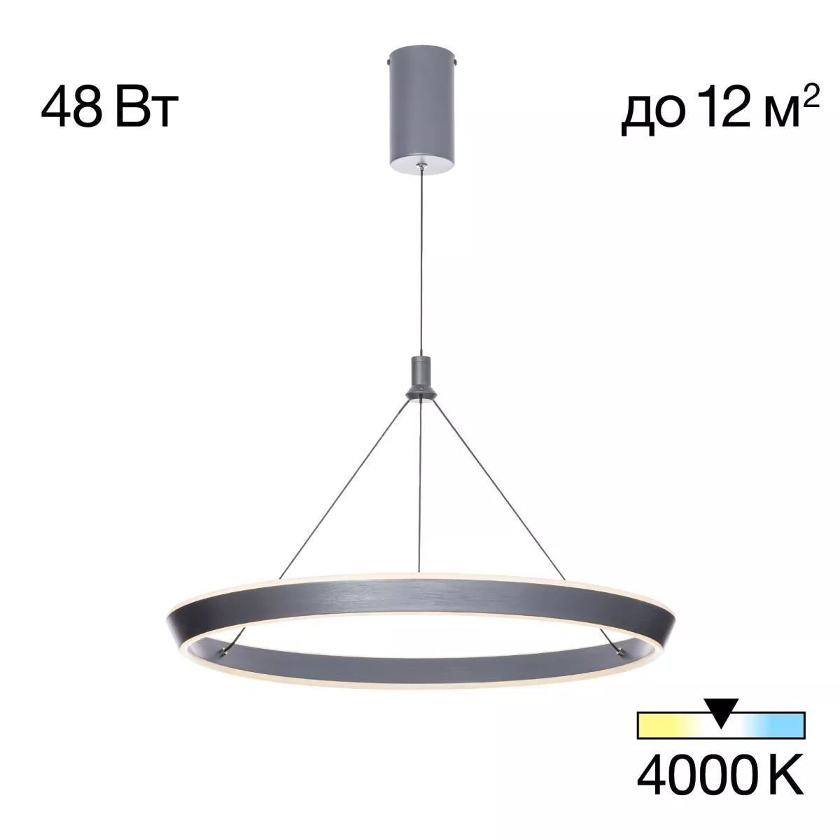 

Подвесной светильник Citilux CL306051