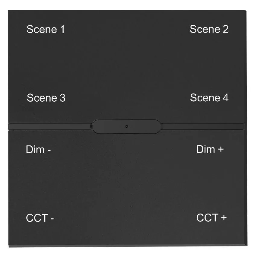 

Беспроводная смарт панель-выключатель ДУ iLedex Technical Vision SP 48V-4-BK