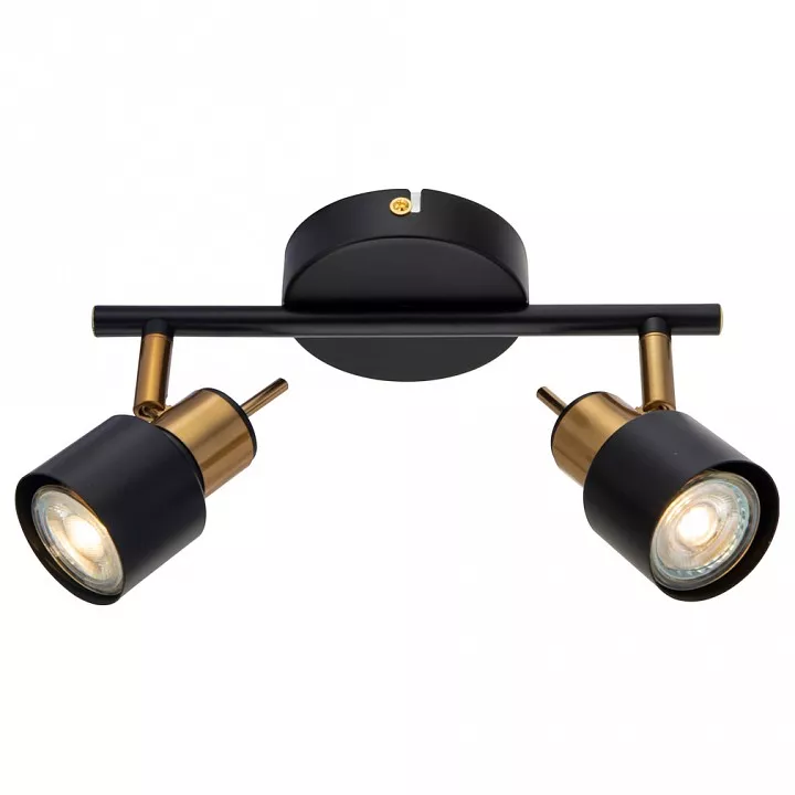 

Спот Arte Lamp Almach A1906PL-2BK