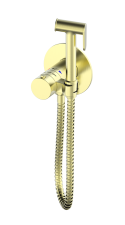 Встраиваемый гигиенический душ AltroBagno Beni aggiuntivi золотой глянцевый BM 060403 OrSp - фото 1