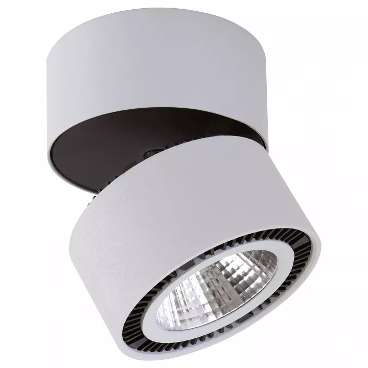 

Светильник на штанге Lightstar Forte Muro LED 213839