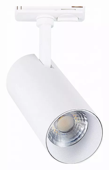 

Светильник на штанге ST-Luce Mono ST350.536.20.36