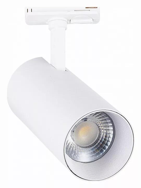 

Светильник на штанге ST-Luce Mono ST350.536.30.36