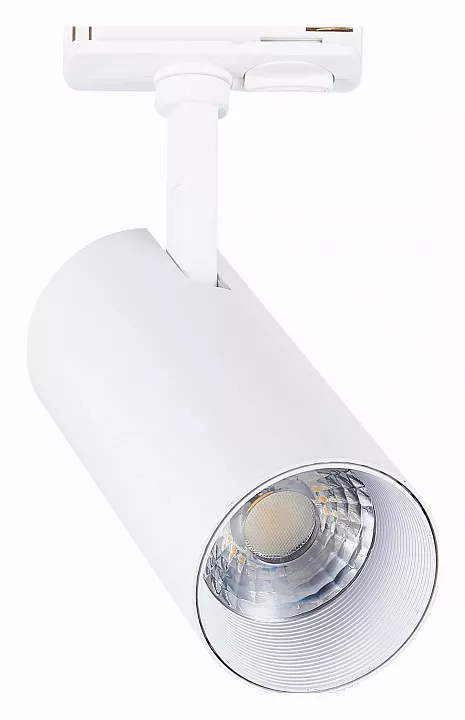 

Светильник на штанге ST-Luce Mono ST350.546.20.36